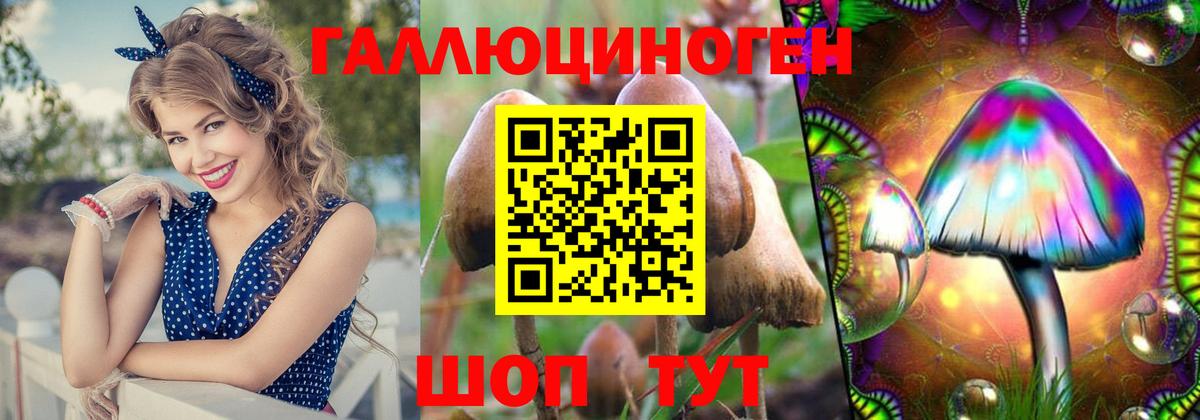 Псилоцибиновые грибы ЛСД Чебоксары